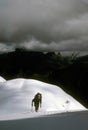 Climber ascending snowfield