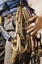 Climber with Carabineers Around Waist, Royalty Free Stock Photo