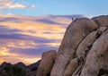 Climber at Sunset in Joshua Tree National Park Royalty Free Stock Photo