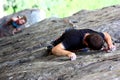 Climbers Royalty Free Stock Photo