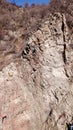 Climbers climb the rock. Drone footage. Side and top view. Rock lesson in the highlands. Gray rocks and dry bushes. Sometimes ther Royalty Free Stock Photo