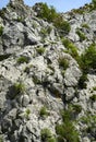 Climbers are climbing a rocky mountain in Paklenica, Croatia Royalty Free Stock Photo