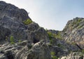 Climbers are climbing a rocky mountain in Paklenica, Croatia Royalty Free Stock Photo