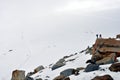 Climbers on a rock of a glacier