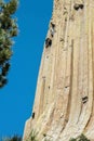 Climbers ascend Devils Tower National Monument , Wyoming, USA Royalty Free Stock Photo