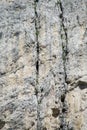 Climbers working on alpinist wall route Royalty Free Stock Photo