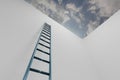 Climbing the corporate ladder of success. Wall Sky, 3D rendering