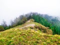 Climbing down this beautiful trail into this epic misty forest.