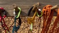 Climbing equipment attached to a wooden stand