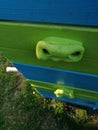 Colorful chest of drawers with nose handles