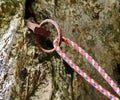 Climbing equipment