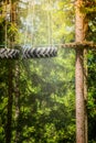 Climbing forest or rope park with tyre hanging on the ropes on nature Royalty Free Stock Photo