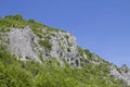 Climbing garden Buzet in the Mirna valley