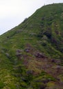 Climbing Koko Crater, Hanauma Bay, Honolulu, Island of Oahu, Hawaii, United States Royalty Free Stock Photo