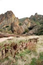 Climbing Pinnacles