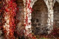 Climbing plant with red leaves in autumn on the old stone wall Royalty Free Stock Photo