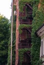 climbing plants on the fire metal stairs of a brick building