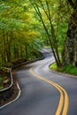 Climbing Road Ascends Bays Mountain Tennessee