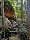 Climbing the rock Sail on the island of Similan Royalty Free Stock Photo