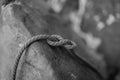 A climbing rope in Moab, Utah Royalty Free Stock Photo