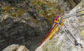 Climbing rope postponed by a rappel stance, prepared for descent from the summit. Royalty Free Stock Photo