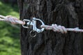 Climbing ropes with carabiner near tree outdoors, closeup