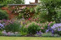 Climbing Roses and Flower Border, Mottisfont Abbey, Hampshire, England, UK Royalty Free Stock Photo