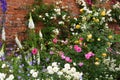 Climbing Roses and Flower Border, Mottisfont Abbey, Hampshire, England, UK Royalty Free Stock Photo