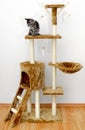 Climbing scratcher for cats.