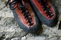 Climbing shoes Royalty Free Stock Photo