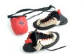 Climbing shoes and the chalk bag Royalty Free Stock Photo