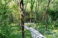 Climbing stone steps in the forest