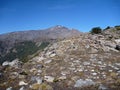 Climbing to sierrra nevada peak in las araucarias Royalty Free Stock Photo