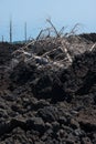 Climbing to the top of Etna volcano