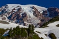 Climbing up the Side of Beautiful Snow-Capped Mount Rainier in August. Royalty Free Stock Photo