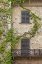 ivy on old residential house in historical village San Gimignano  Tuscany  Italy Royalty Free Stock Photo