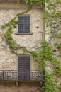 Vines of ivy on old residential house Royalty Free Stock Photo