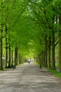 Clingendael park, Den Haag, Netherlands Royalty Free Stock Photo