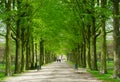 Clingendael park, Den Haag, Netherlands Royalty Free Stock Photo