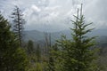 Clingmans Dome, Great Smokey Mountains Royalty Free Stock Photo