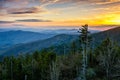 Clingmans Dome, Great Smoky Mountains, tennessee Royalty Free Stock Photo