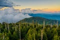 Clingmans Dome, Great Smoky Mountains, tennessee Royalty Free Stock Photo