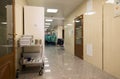 Clinic staff wearing medical uniforms in a hospital corridor Royalty Free Stock Photo