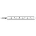 Clinical thermometer vector