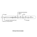 Clinical thermometer on white background vector