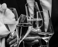 Clink the glasses of sparkling wine for celebration on a wedding in black and white. male and female hands visible Royalty Free Stock Photo