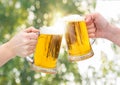 Clinking Beer glasses . Royalty Free Stock Photo