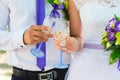 Clinking wedding glasses with champagne close-up by bride and groom in their hands. Royalty Free Stock Photo