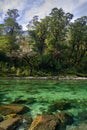 Clinton River with pristine clear water, Milford Track Great Walk New Zealand