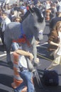 Clinton supporter carries Democratic Donkey through the crowd at a Little Rock campaign rally in 1992 on final day of campaigning